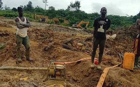 Residents and farmers at Osenase cry over Galamsey activities, point fingers at Regent.