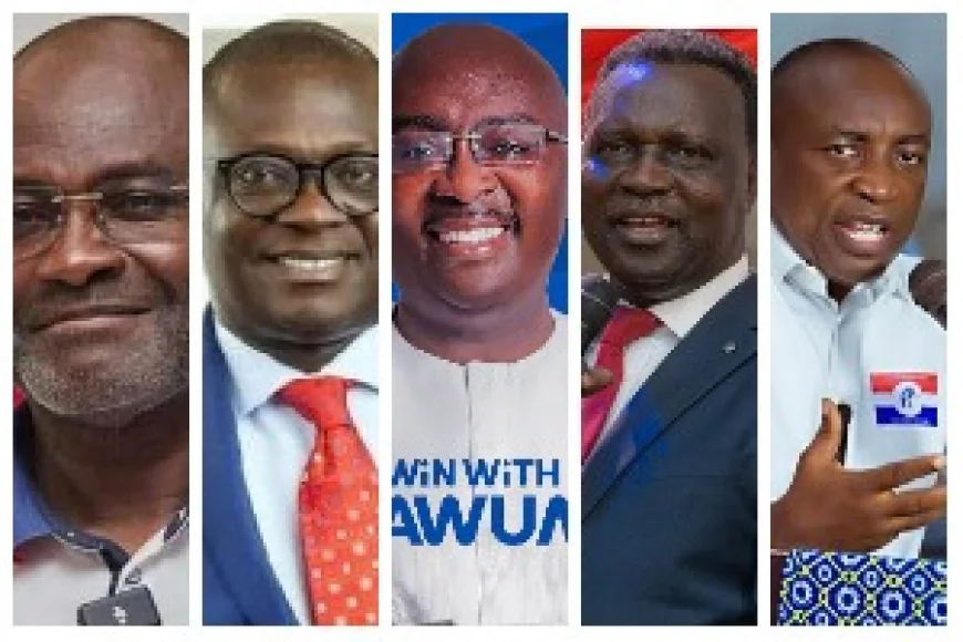 NPP Ballots for 2026 Flagbearer Race