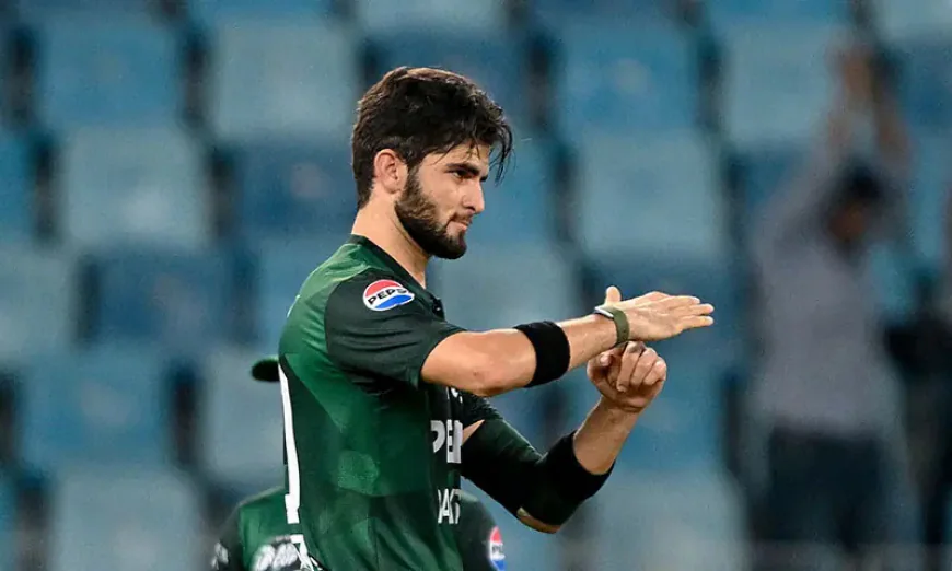 Shaheen Afridi Leads Pakistan in ODIs: Stability or Another Short-Term Move?