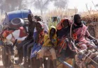 Sudan Civil War 2025: RSF Capture, Famine, and the Collapse of Darfur