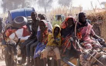 Sudan Civil War 2025: RSF Capture, Famine, and the Collapse of Darfur