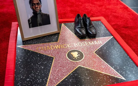 Tribute to Chadwick Boseman - A Great Man, A King, A Light, and Legacy