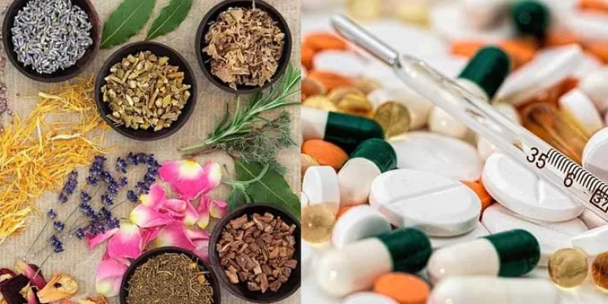 Modern Medicine vs Herbal Medicine
