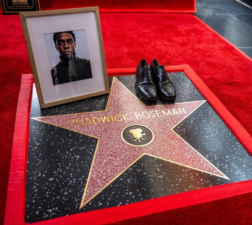 Tribute to Chadwick Boseman - A Great Man, A King, A Light, and Legacy
