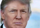 Trump Sparks Outrage with Reported Xenophobic Attack on Somali Immigrants