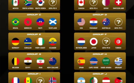 THE FIFA WORLD CUP DRAW IS HERE