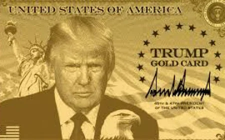 A $1 Million Dollars for Green Card: Trump’s New Gold Card Sparks Global Frenzy