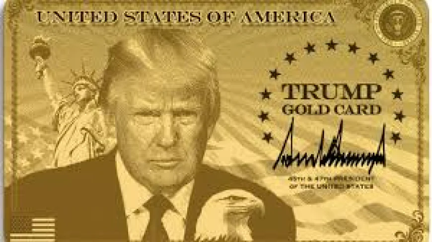 A $1 Million Dollars for Green Card: Trump’s New Gold Card Sparks Global Frenzy