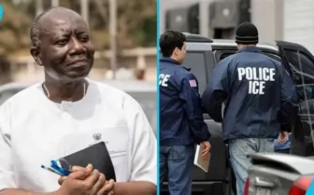 Former Finance Minister Ken Ofori-Atta Detained by US Immigration and Customs Enforcement