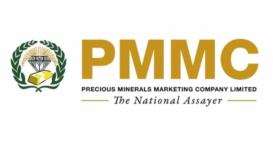 PMMC Recorded $460m Loss in 2024 Under NPP – Eric Opoku