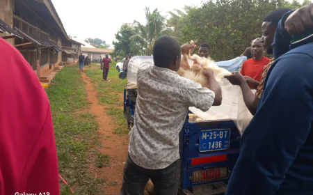 Government rolls out Nkoko Nkitinkiti policy to benefit 200 households in Techiman