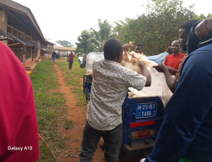 Government rolls out Nkoko Nkitinkiti policy to benefit 200 households in Techiman