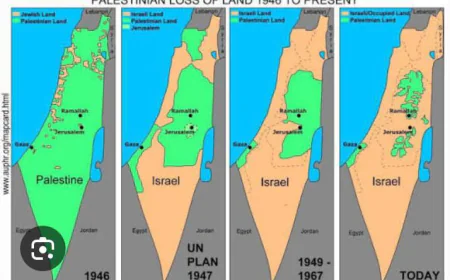 Palestine Reaffirms Its Unwavering Commitment to Its Land, Rejects All Israeli Measures, and Seeks Peace.