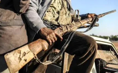 Nigeria’s Insecurity Crisis: Kidnapping and the Northeast War