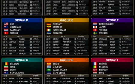 World Cup Favourite 