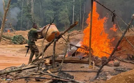 NAIMOS Targets Atewa Forest Under Operation Green Shield After Earlier Violent Mining Clash