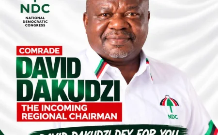 President Mahama is likely to be a Pastor after his tenure of office as a President -- David Dakudzi.