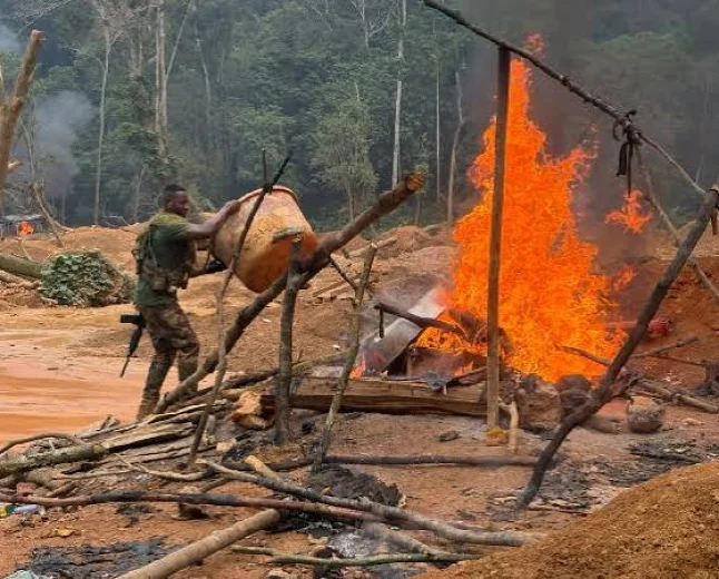 NAIMOS Targets Atewa Forest Under Operation Green Shield After Earlier Violent Mining Clash