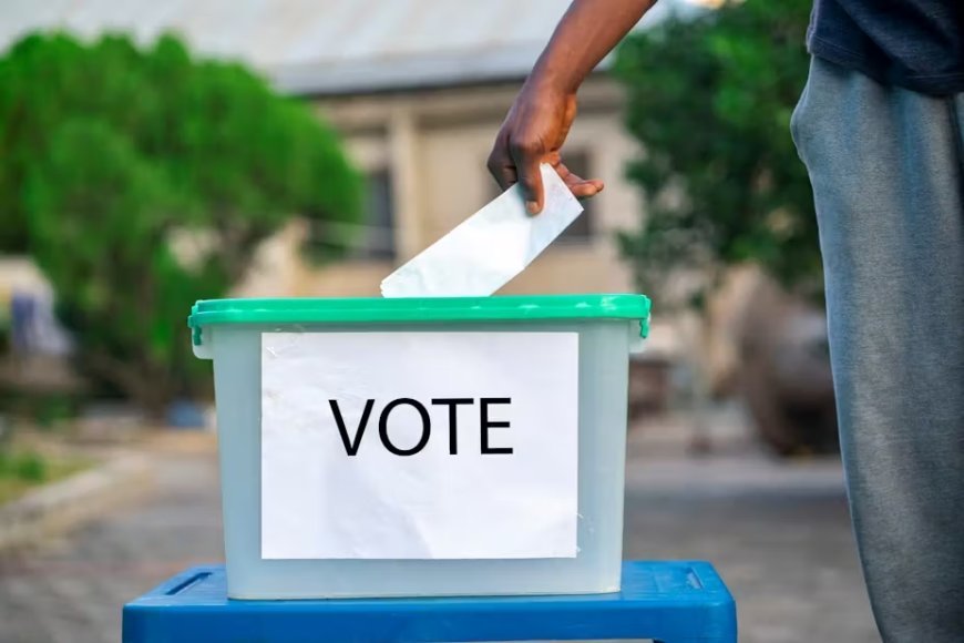 Who will you vote for in the 2024 General Election?