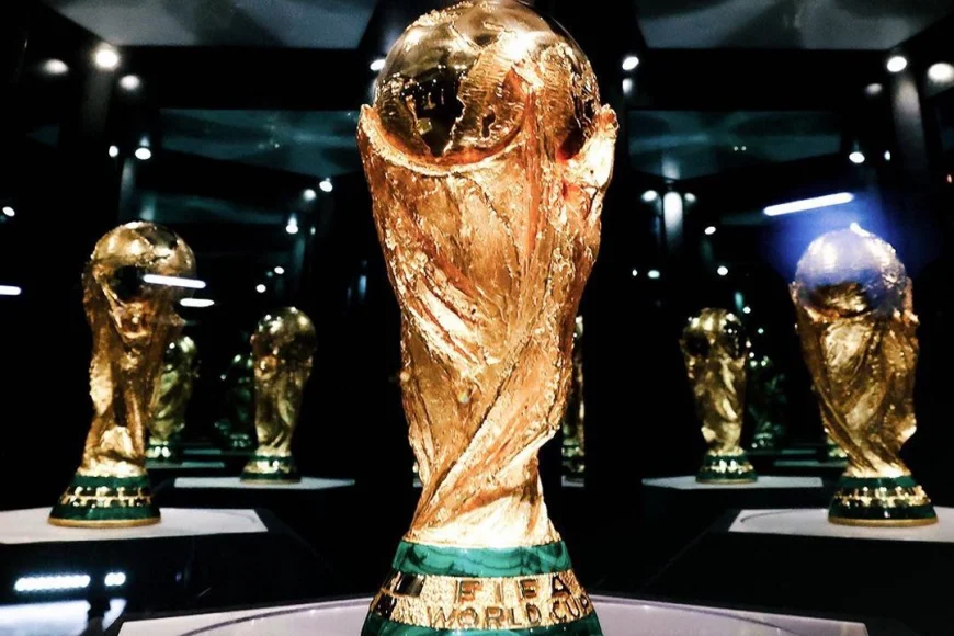 Which Country is favourite to win the World cup?